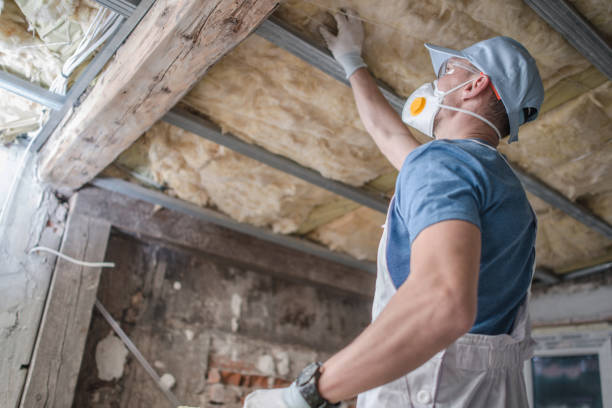 Best Specialized Insulation Services in Ardmore, TN