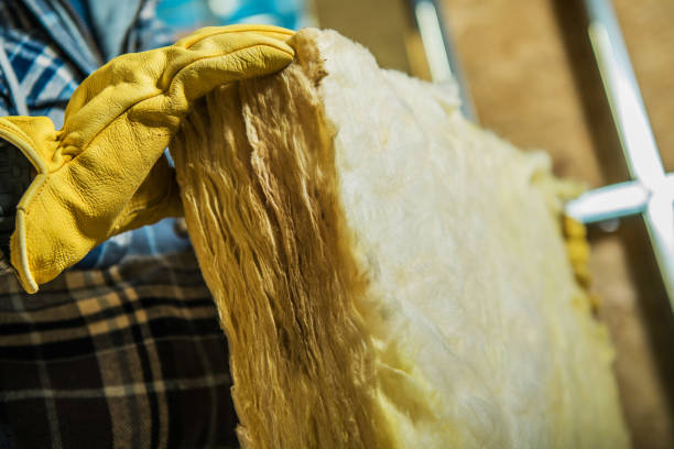 Best Blown-in Insulation in Ardmore, TN