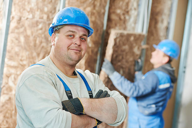 Best DIY Insulation Kits and Guidance in Ardmore, TN