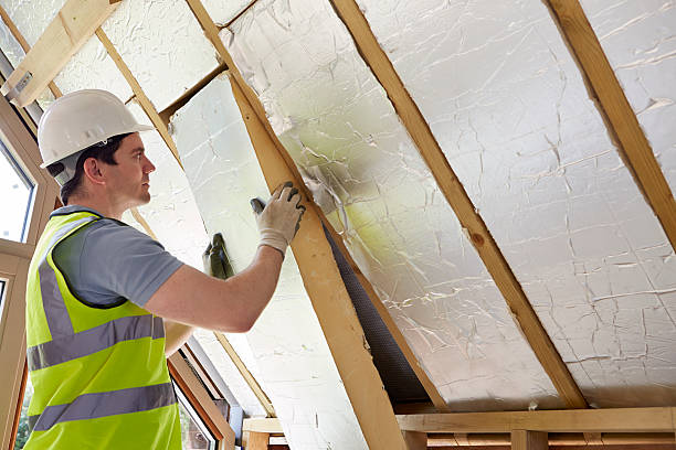 Best Insulation Maintenance and Repair in Ardmore, TN