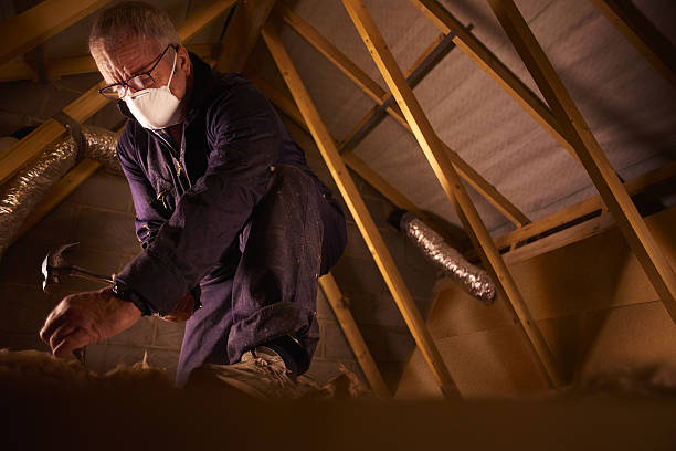 Best Insulation Maintenance and Repair in Ardmore, TN